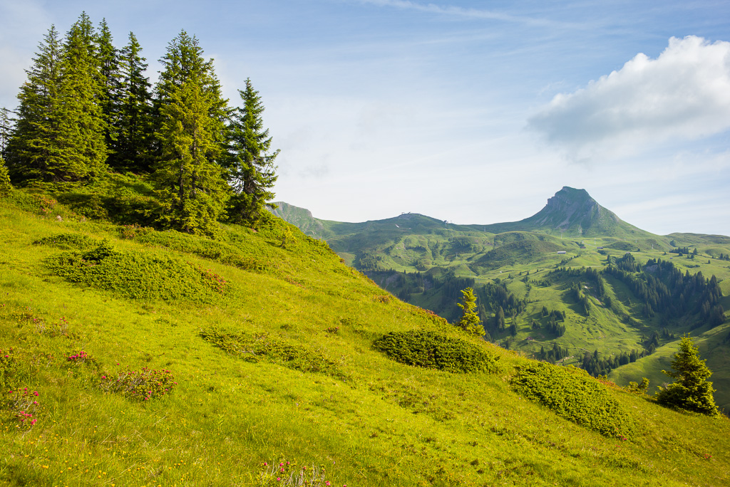 Die Damülser Mittagsspitze in der Ferne